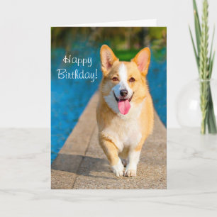 Carte Joyeux Chien de Corgi Anniversaire