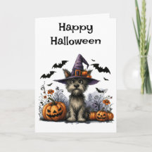 Joyeux chien d'Halloween dans un Casquette de sorc