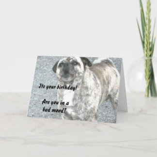 Carte Joyeux Chien taureau d'anniversaire