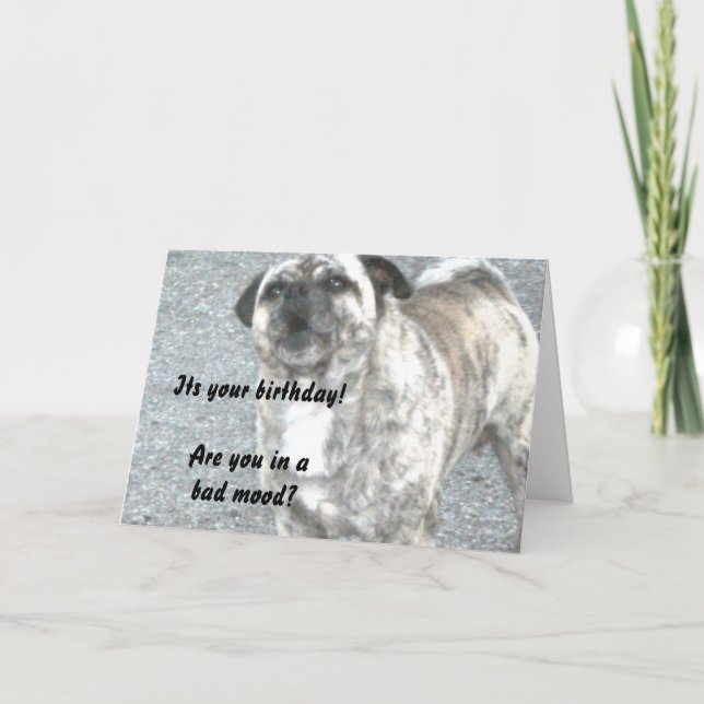 Carte Joyeux Chien taureau d'anniversaire (Devant)