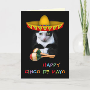 Carte Joyeux Cinco De Mayo Cat