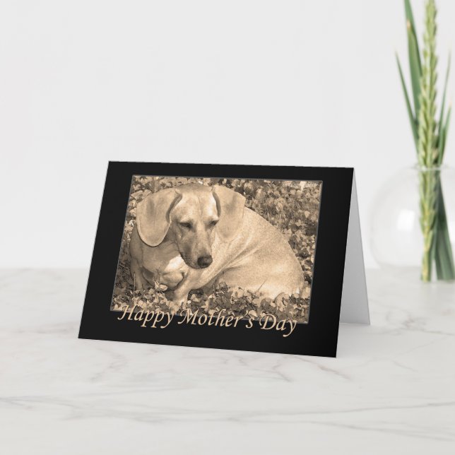 Carte Joyeux dachshund Sepia pour la fête des mères (Devant)