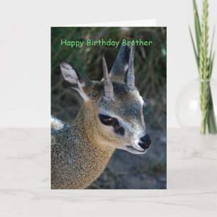 Carte Joyeux frère d'anniversaire