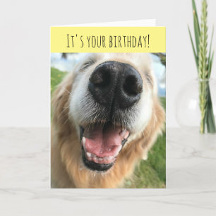 Carte Joyeux Golden Retriever Chien Fête d'anniversaire