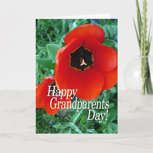 Carte Joyeux Grand-parents Jour grand-mère - Fleurs de p (Devant)