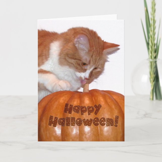 Carte Joyeux Halloween Cute Chat avec Citrouille (Devant)
