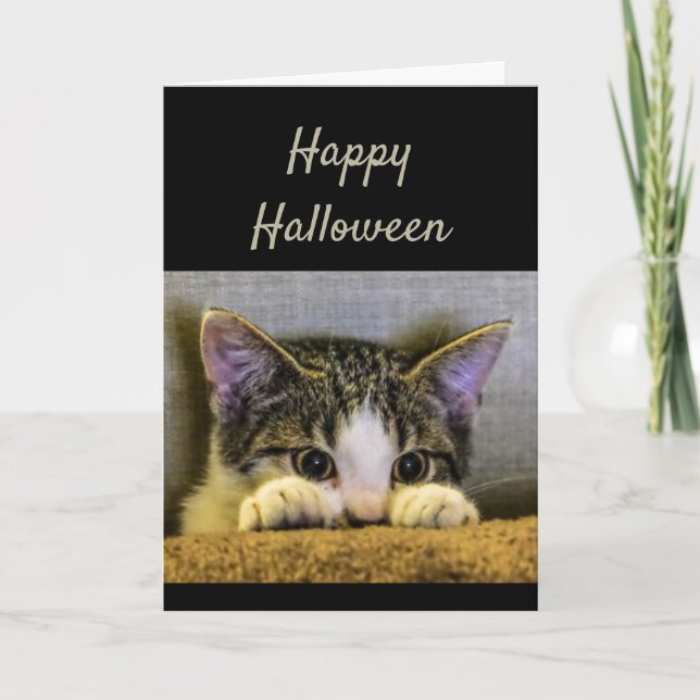 Carte Joyeux Halloween Cute Scared Kitten Drôle (Devant)