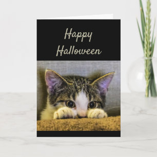 Carte Joyeux Halloween Cute Scared Kitten Drôle