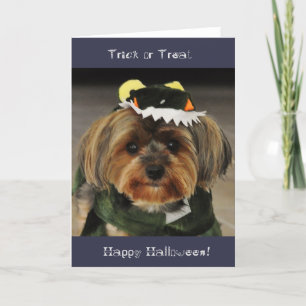 Carte Joyeux Halloween ! Trick ou Treat Yorkshire terrie