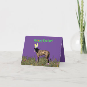 Carte Joyeux Happy Pâques Brindle Great Dane