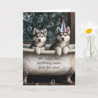 Joyeux Huskies humoristiques d'anniversaire dans u