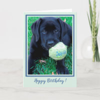 Joyeux Marionnette Black Labrador - Chien mignon