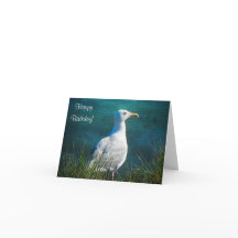 Joyeux mouette d'anniversaire