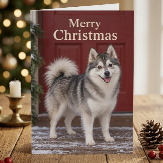 Carte Joyeux Noël amateur de chiots Pomsky mignons