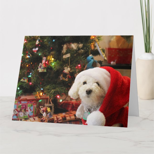 Carte Joyeux Noël Caniche Mignon (Devant)