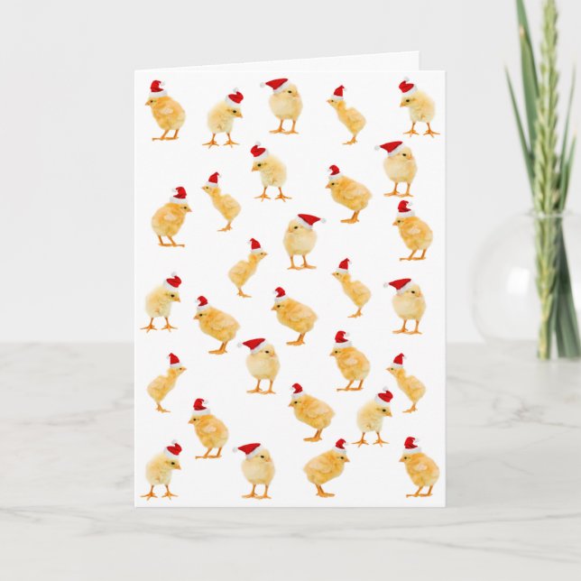 Carte Joyeux Noël Chicks (Devant)