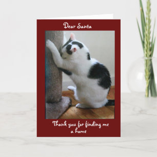 Carte Joyeux Noël de votre chat adopté