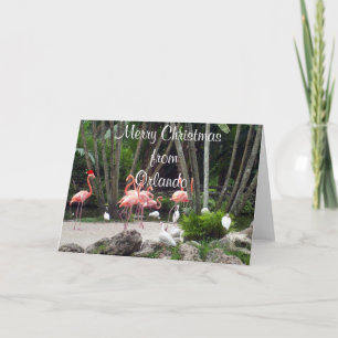 Carte Joyeux Noël d'Orlando