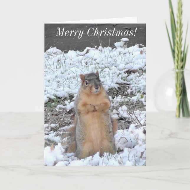 Carte Joyeux Noël et Joyeux Nouvel An hiver d'écureuil (Devant)