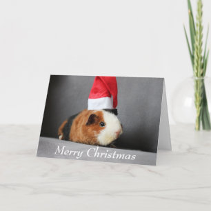 Carte Joyeux Noël Guinée porc dans un chapeau de Père No