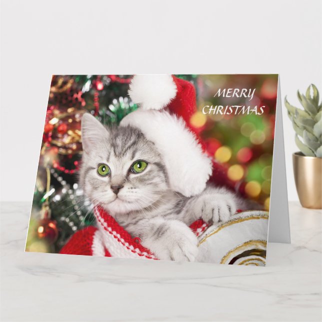 Carte Joyeux Noël Kitten (Petite plante)