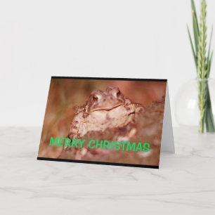 Carte Joyeux Noël La Même Chose Que Je T'Ai Pris Dernièr