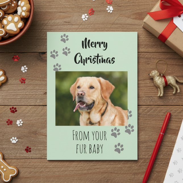 Carte Joyeux Noël Photo Chien Chat Animal de compagnie F (Créateur téléchargé)