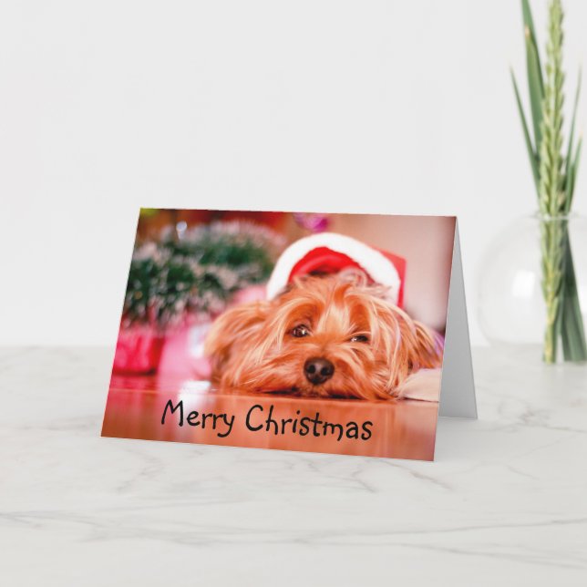 Carte Joyeux Noël Yorkie Épuisé Chien Amusant (Devant)