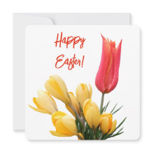 Joyeux Pâques joli crocus rouge tulip floral