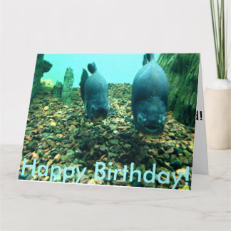 Carte Joyeux poisson d'anniversaire