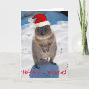 Carte Joyeux Quokka Noël et Nouvel An
