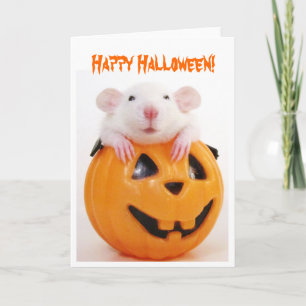 Carte Joyeux Rat Citrouille Halloween