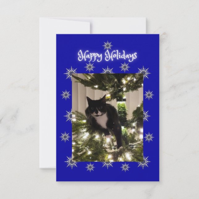 Carte Joyeux salut de vacances. Tuxedo cat. (Devant)