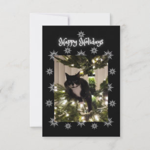 Carte Joyeux salut de vacances. Tuxedo cat.