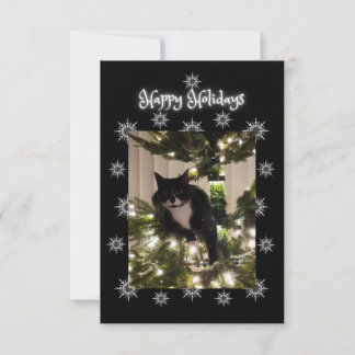 Carte Joyeux salut de vacances. Tuxedo cat.