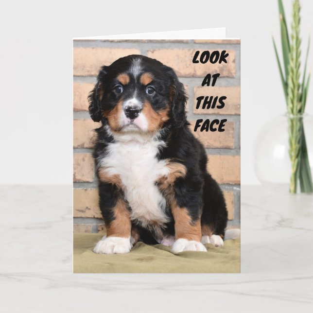 CARTE "JOYEUX THANKSGIVING À VOUS" DIT SAD DOT (Devant)