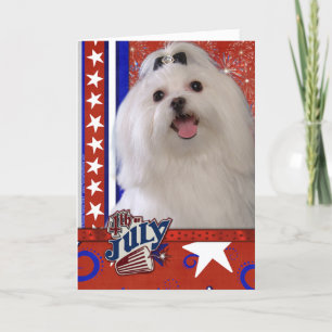 Carte Juillet 4 Firecracker - Maltais