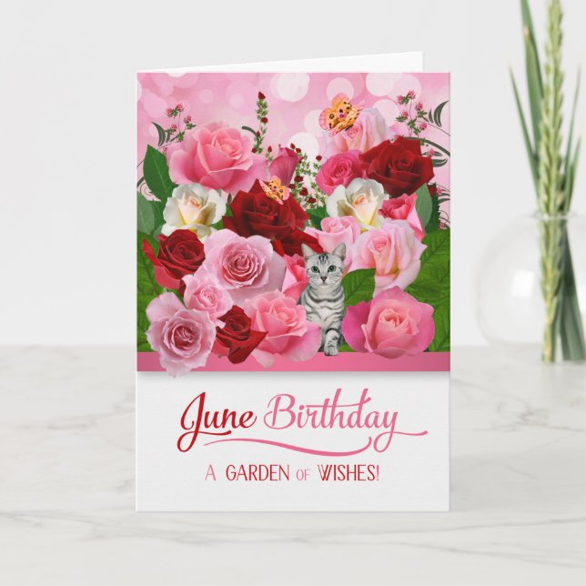 Carte Juin Anniversaire Kitty dans un jardin Rose (Devant)