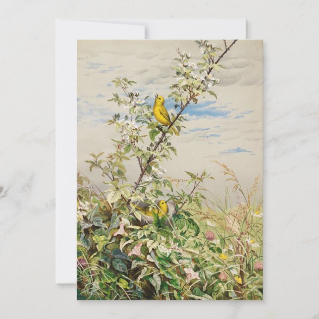 Carte Juin | Ponts Fidelia (Devant)