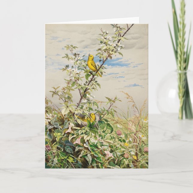 Carte Juin | Ponts Fidelia (Devant)