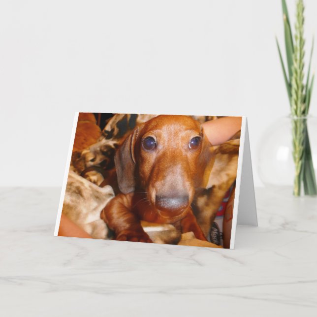 Carte Jumbo (Devant)