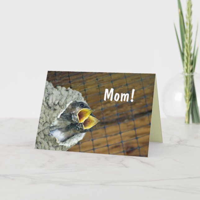 Carte jumelle du jour de mère d'oiseaux de bébé (Devant)