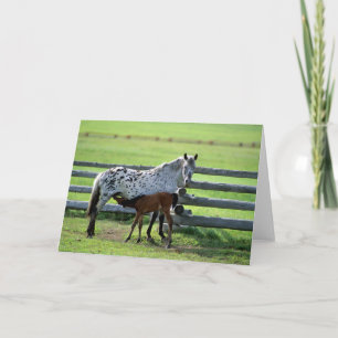 Carte Jument Appaloosa et poulain