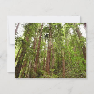 Carte Jusqu'à Redwoods I au monument national de Muir Wo
