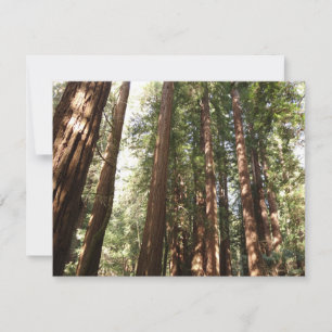 Carte Jusqu'à Redwoods II au monument national de Muir W