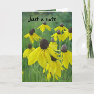 Carte Just a Note Card/Yellow Coneflowers