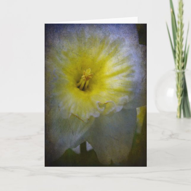 Carte Just Daffy (Devant)