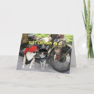 Carte Juste Cruisin dans l'anniversaire drôle