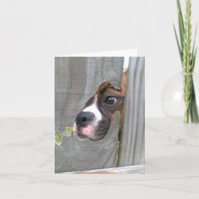 Carte Juste jetant un coup d'oeil dedans (Devant)