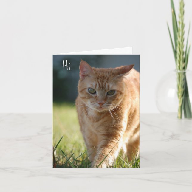 Carte Juste parce que (Devant)